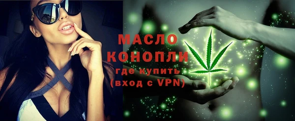 молекула духа Вязьма