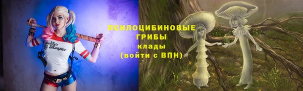 крисы Вязники