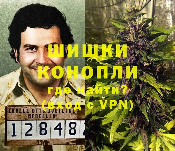 молекула духа Вязьма