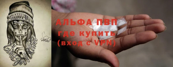 молекула духа Вязьма