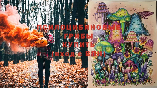 крисы Вязники