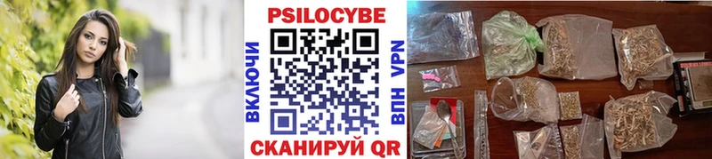 Купить где  Киселёвск  Галлюциногенные грибы GOLDEN TEACHER 